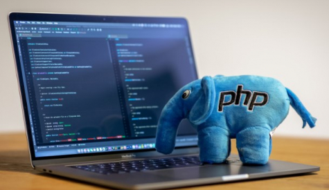 Профессия PHP-разработчик – что делает, как им стать, зарплата в России